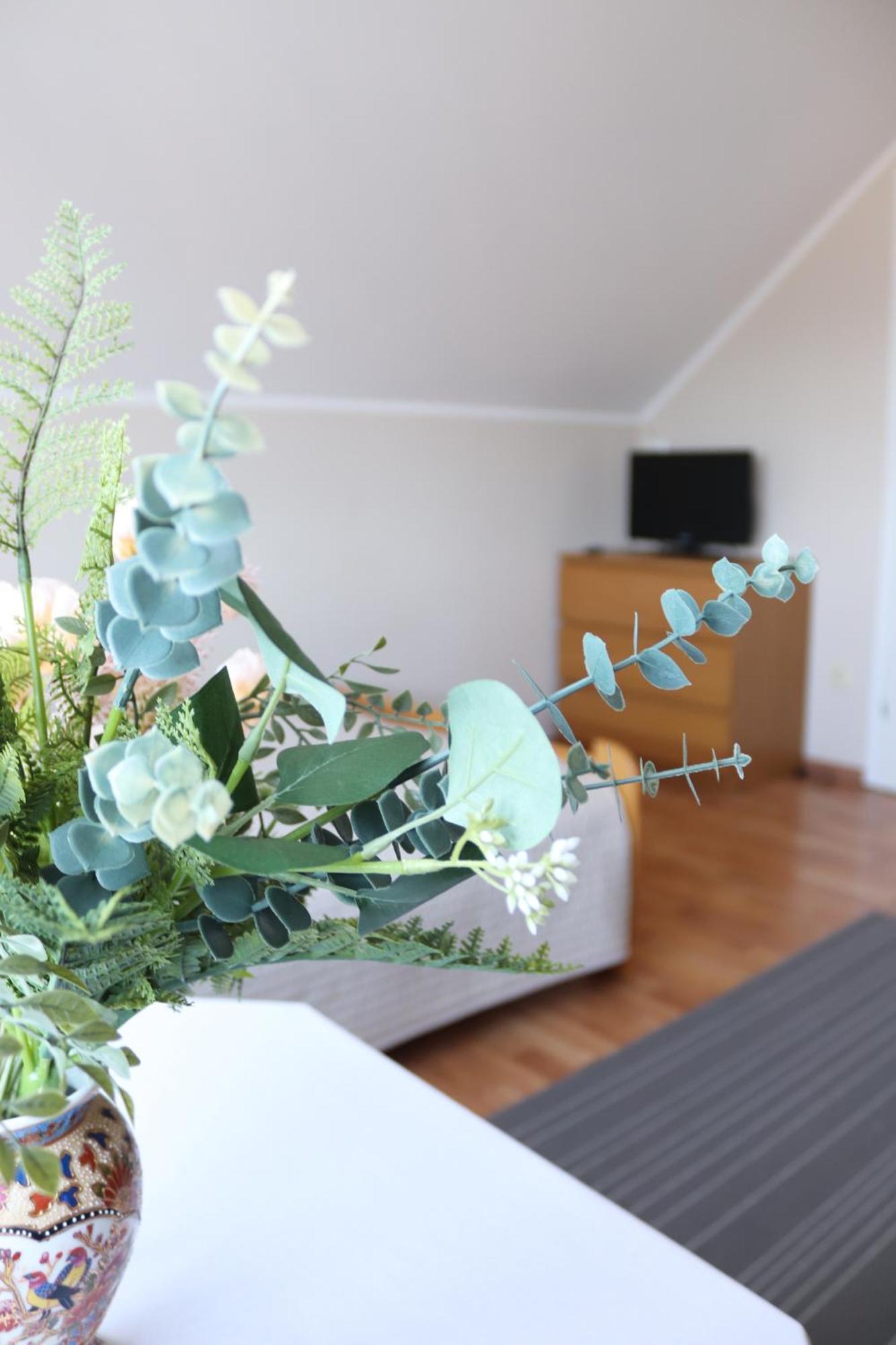 Pokoje&Apartamenty Plus Minus - Władysławowo Zewnętrze zdjęcie